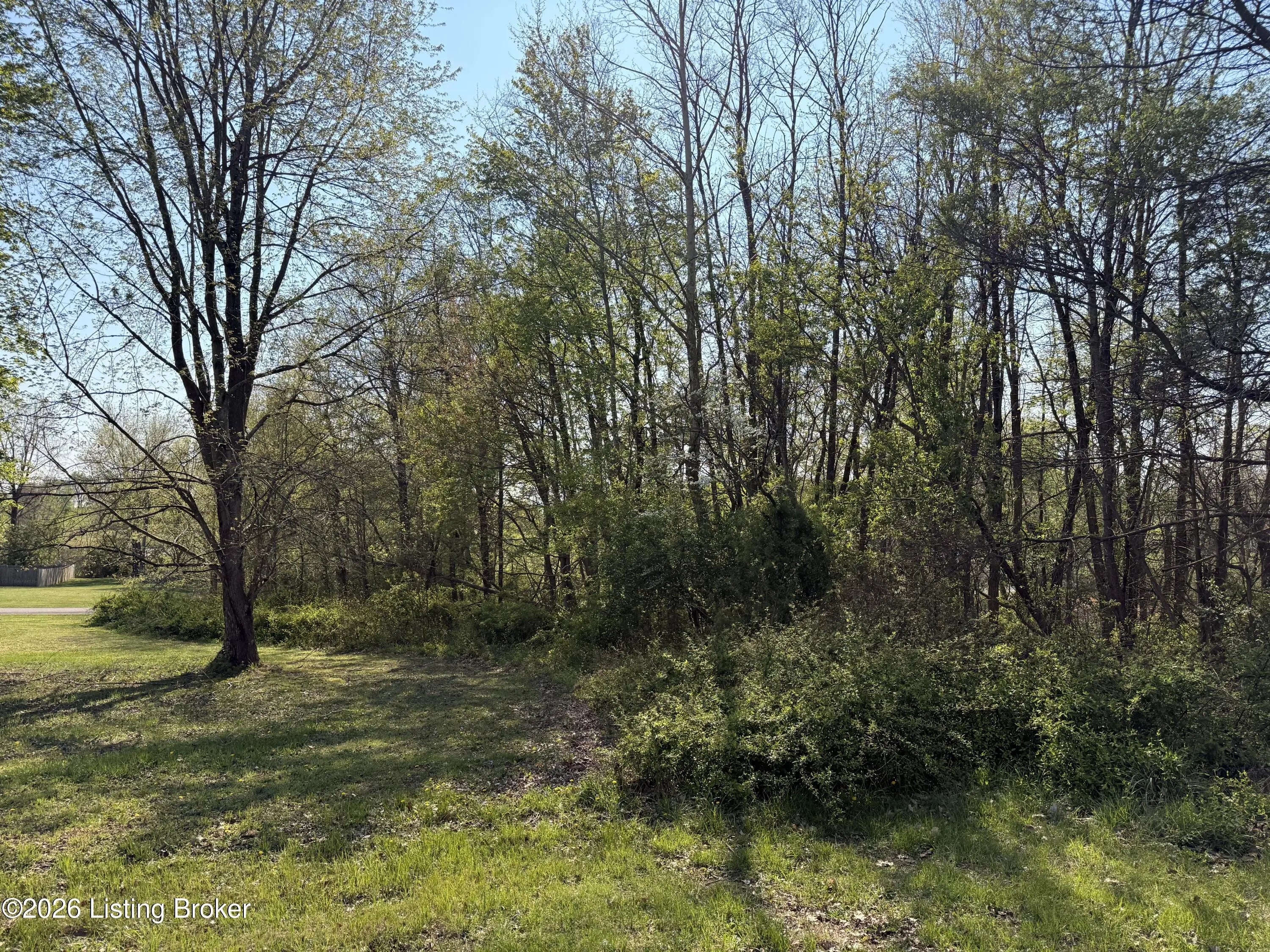 Photo of Listing #1713767