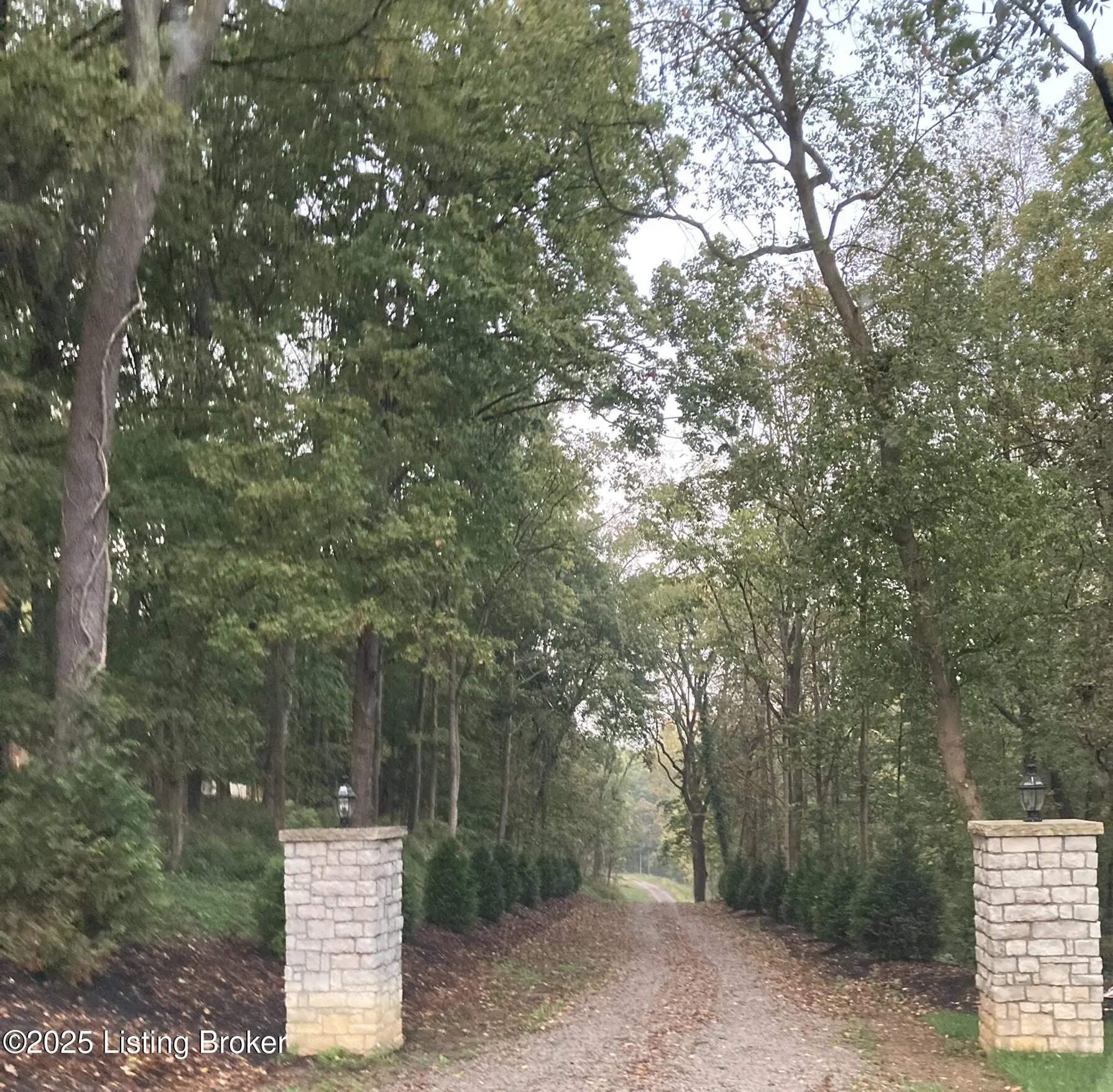 Photo of Listing #1713668