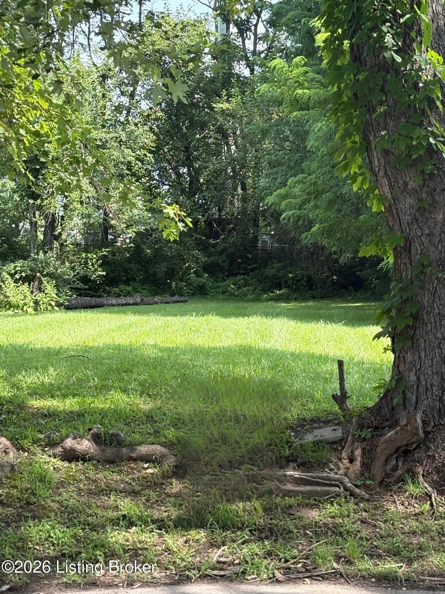 Photo of Listing #1713736