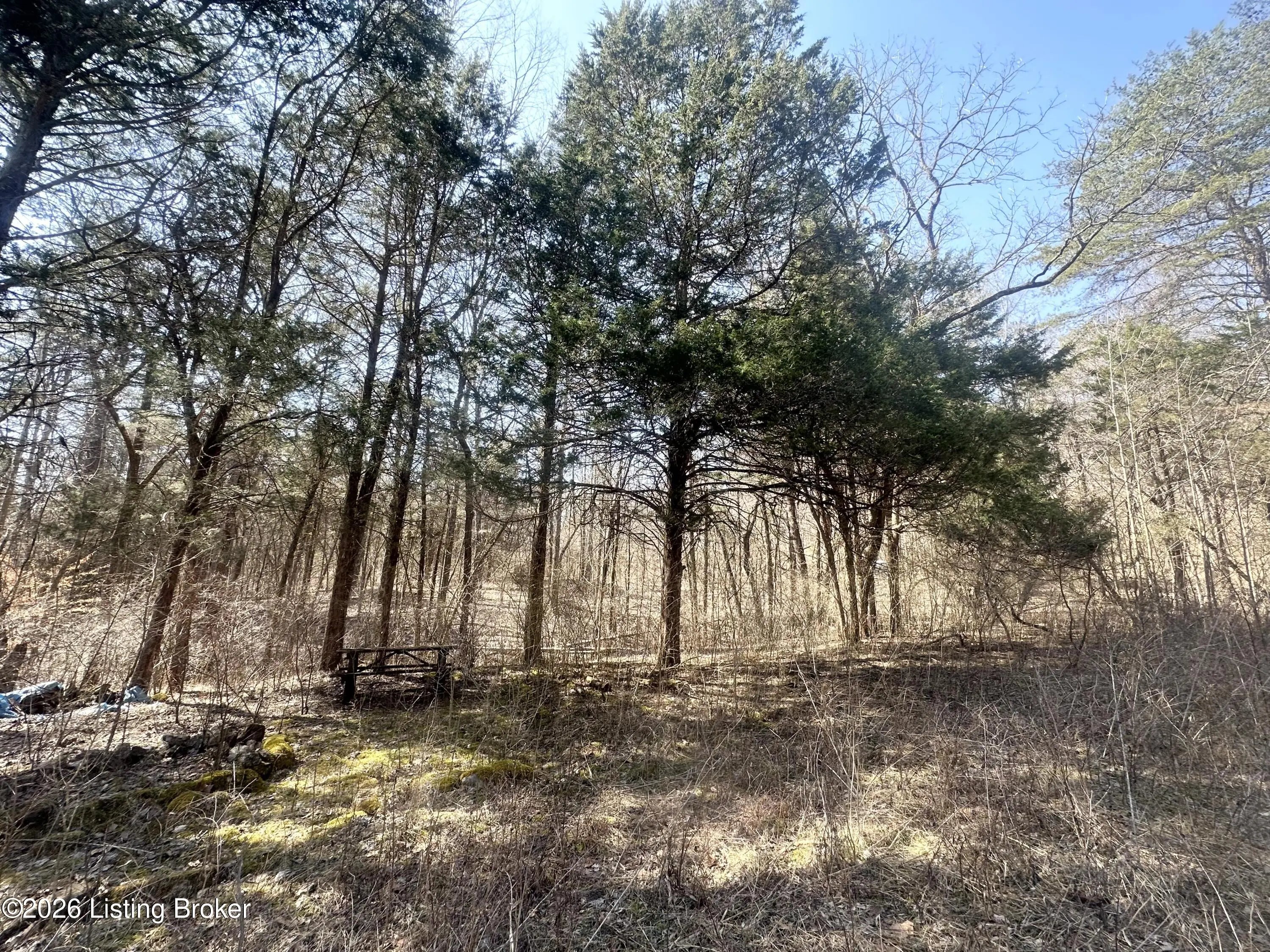 Photo of Listing #1714198