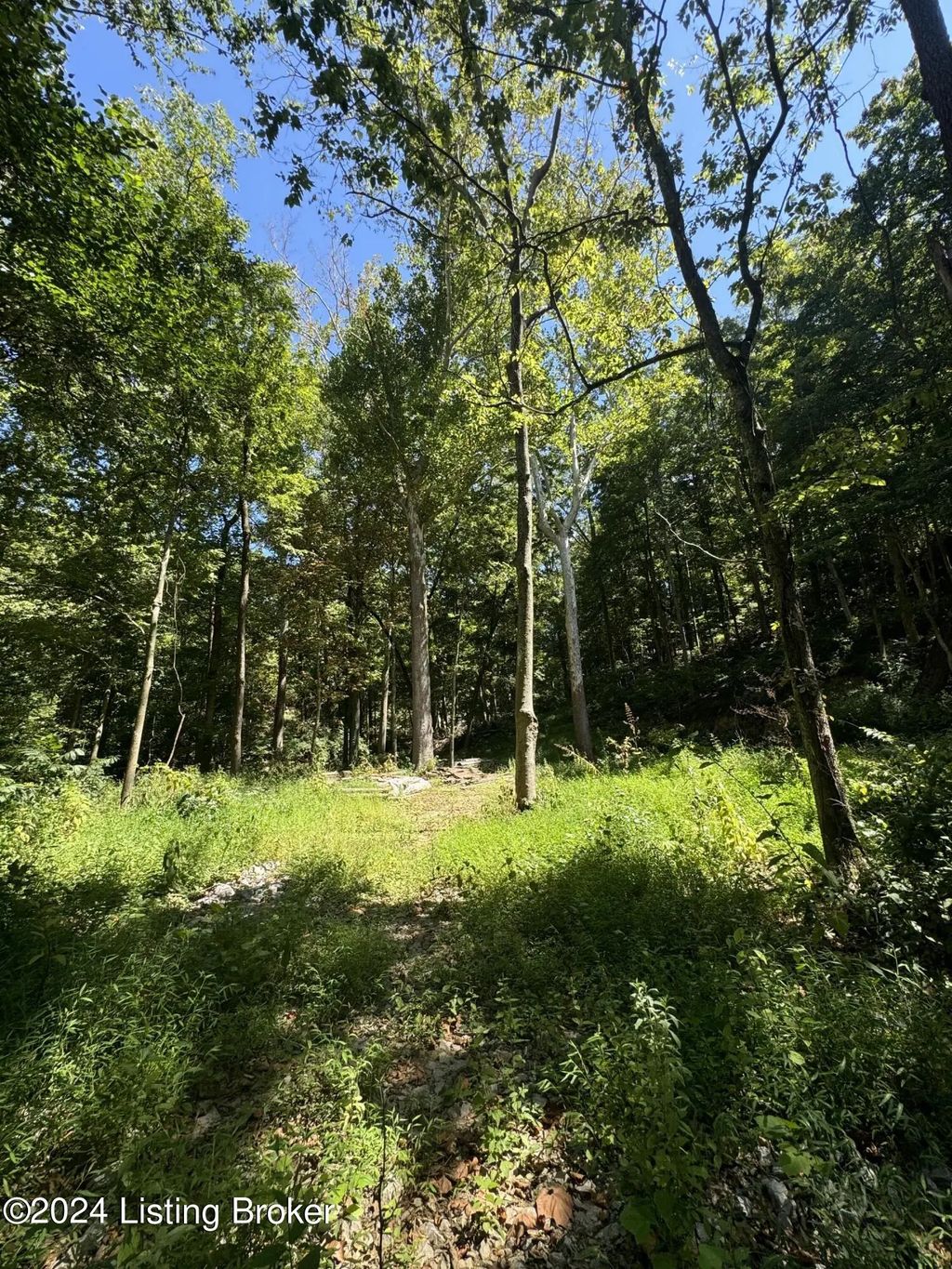 Lot 13 Rose Island Rd, Goshen