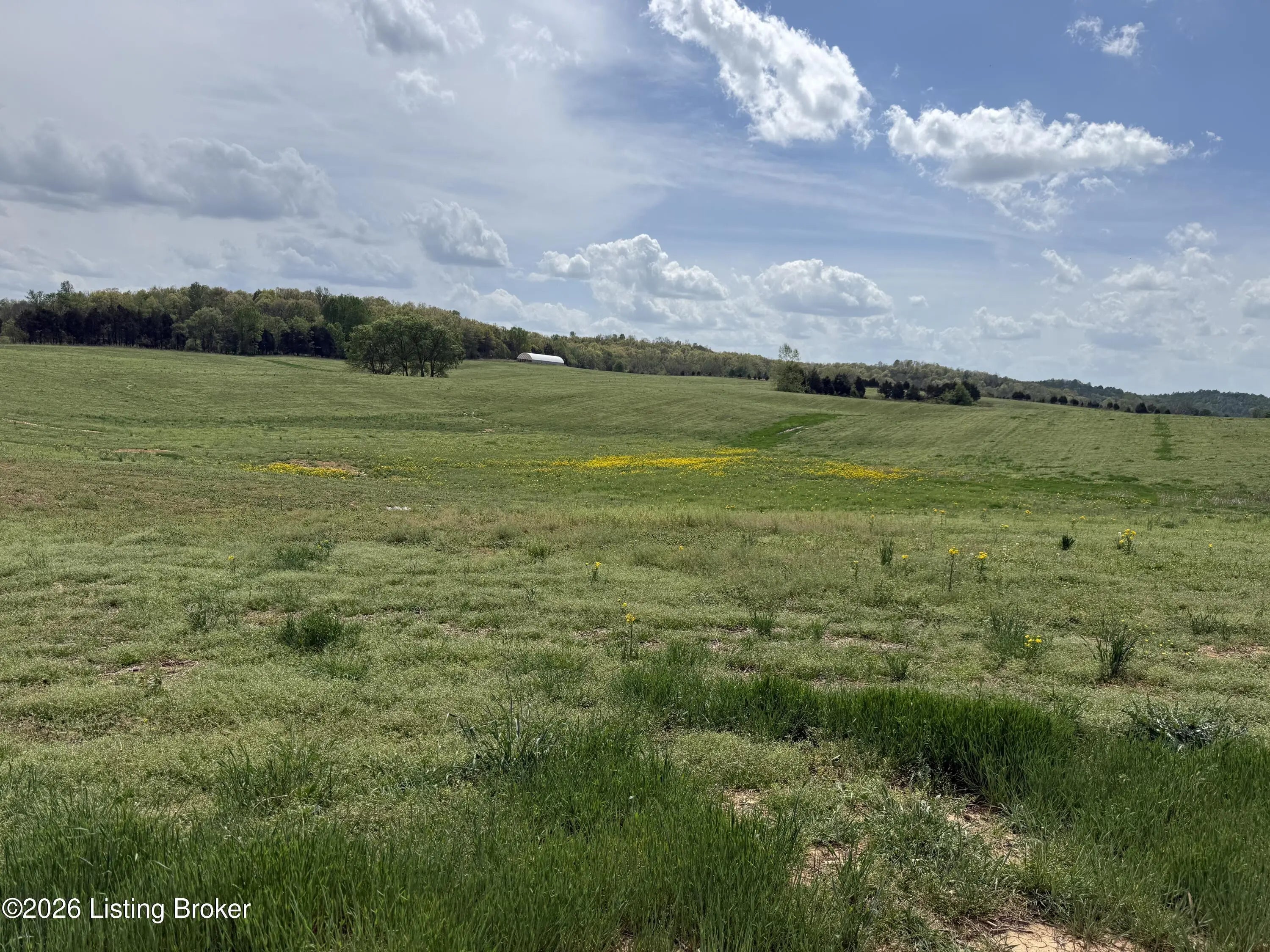 Photo of Listing #1714528