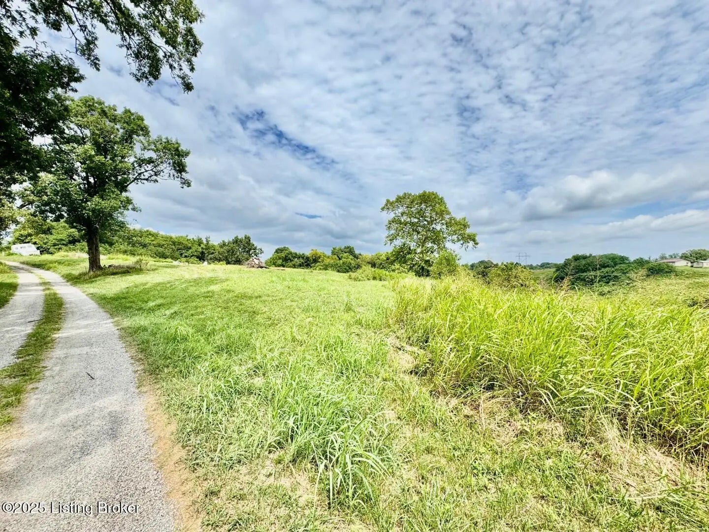 Photo of Listing #1715112