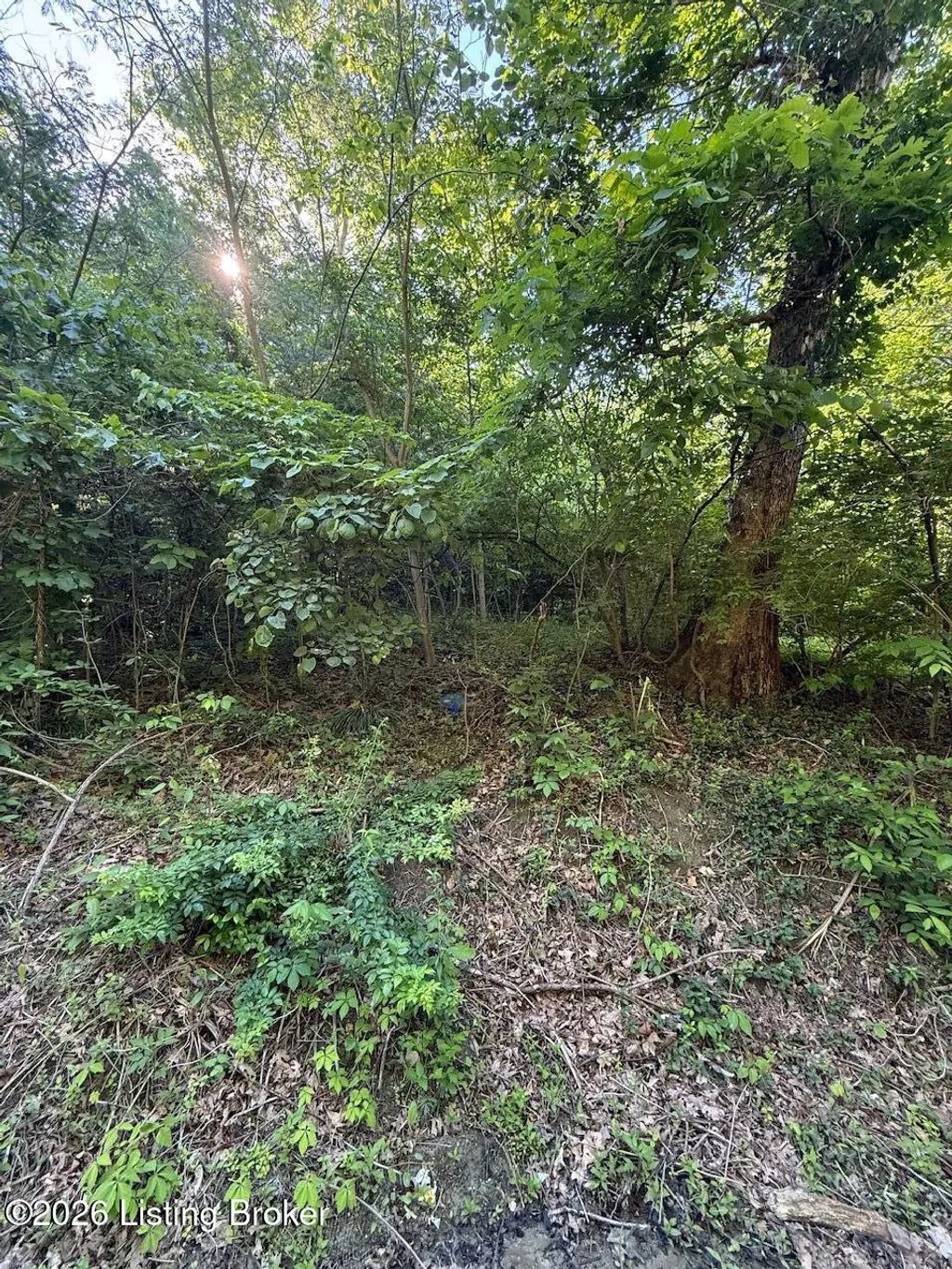 2502 Blevins Gap Rd, Louisville