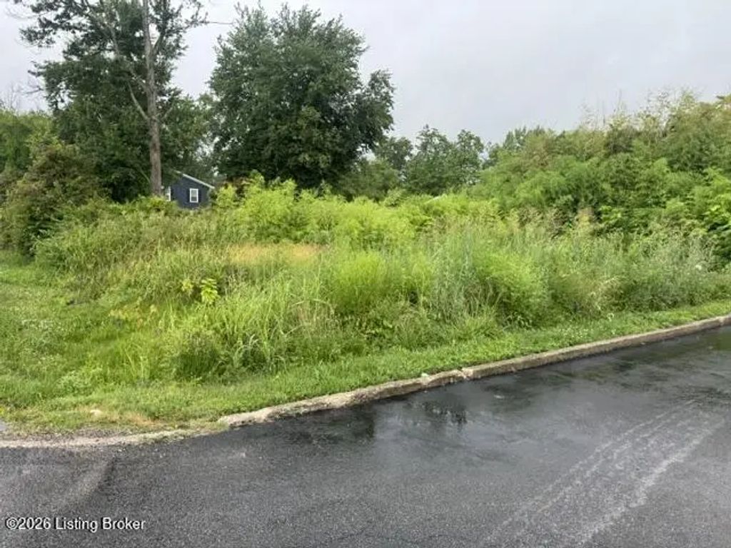 1161 Lone Oak Ave, Louisville