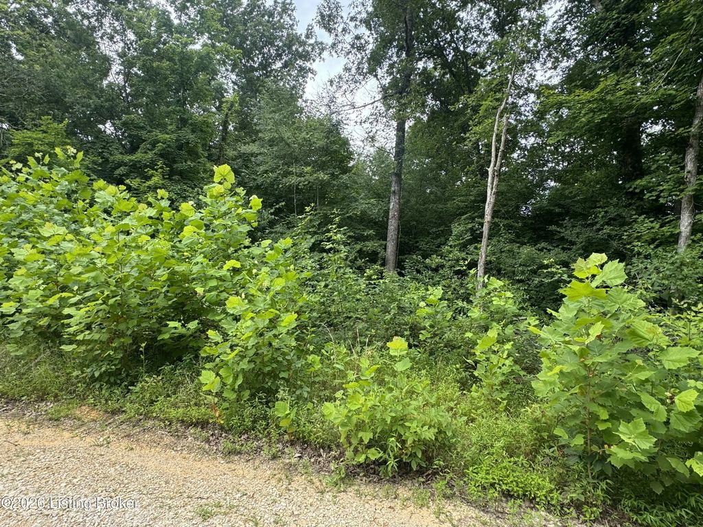 Ted Logsdon Rd, Clarkson