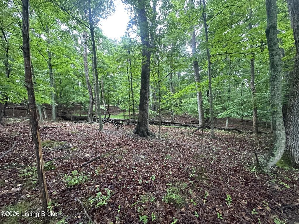 Lot 40 Red Wing Rd, Doe Valley