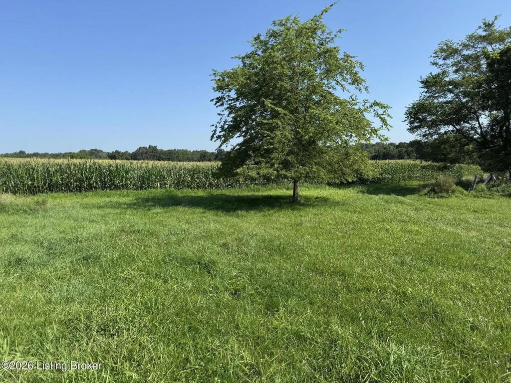 985 Hilton Mill Rd, Leitchfield