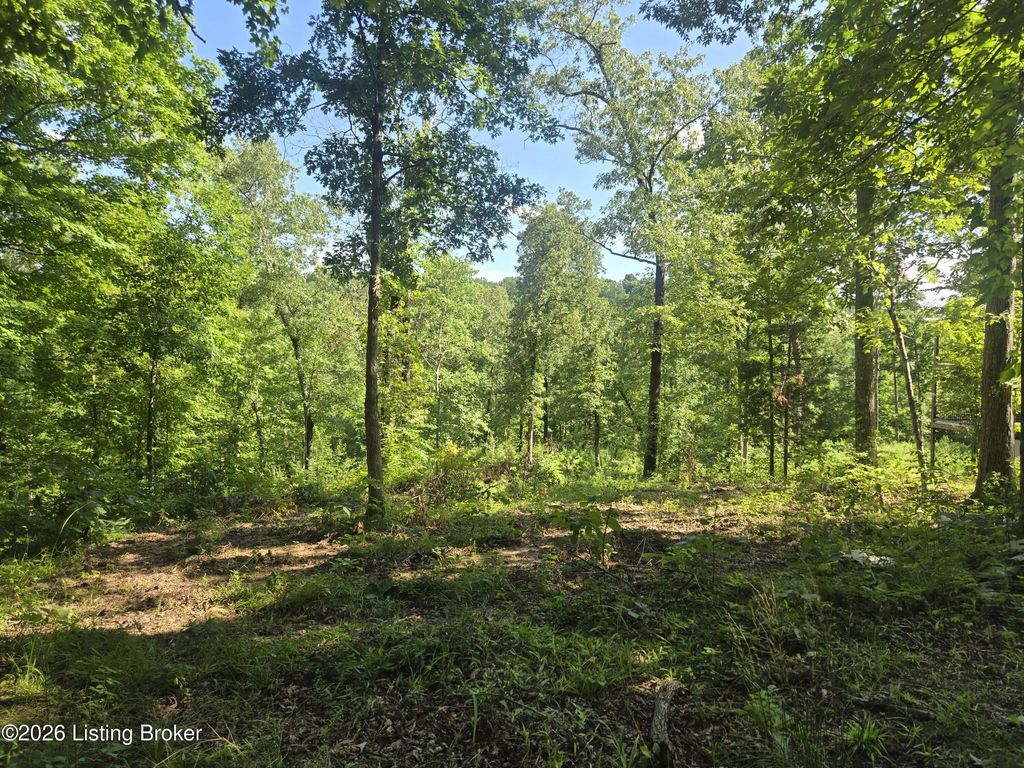 1057 Hunting Ground Rd, Leitchfield