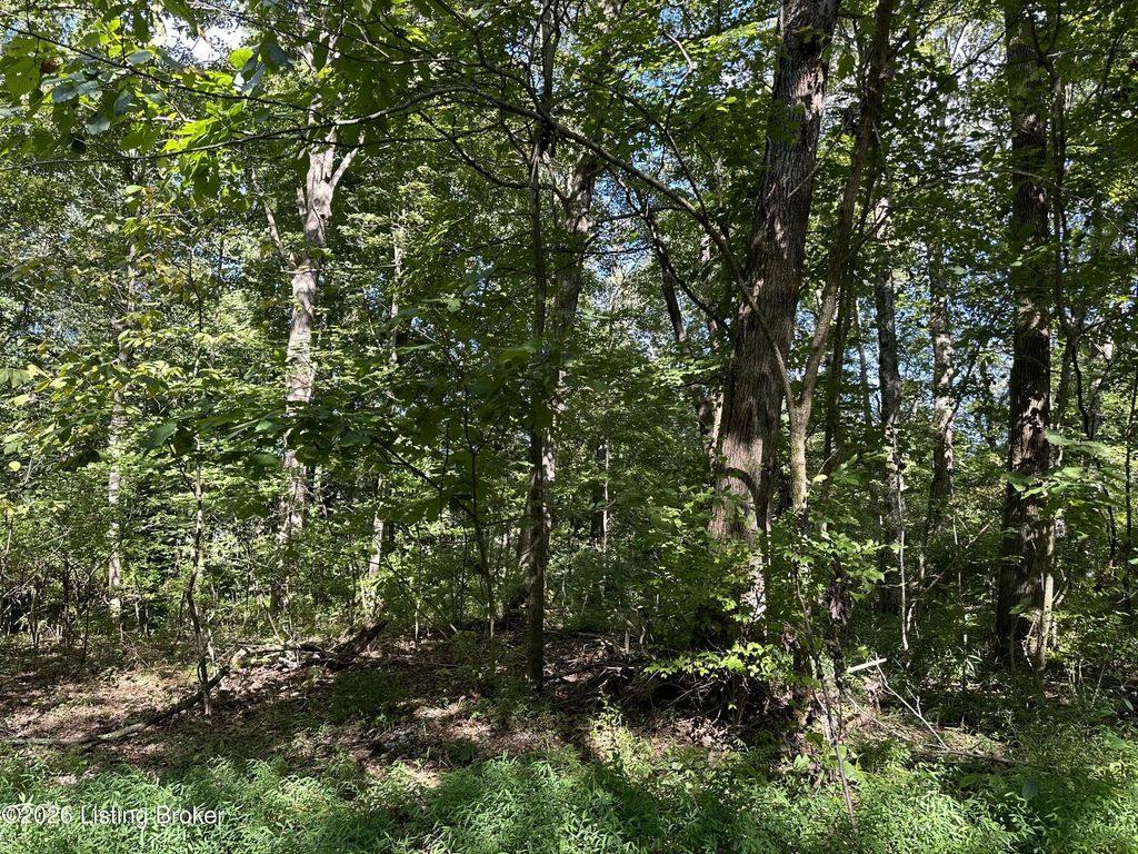 19 Clarktown Rd, New Haven
