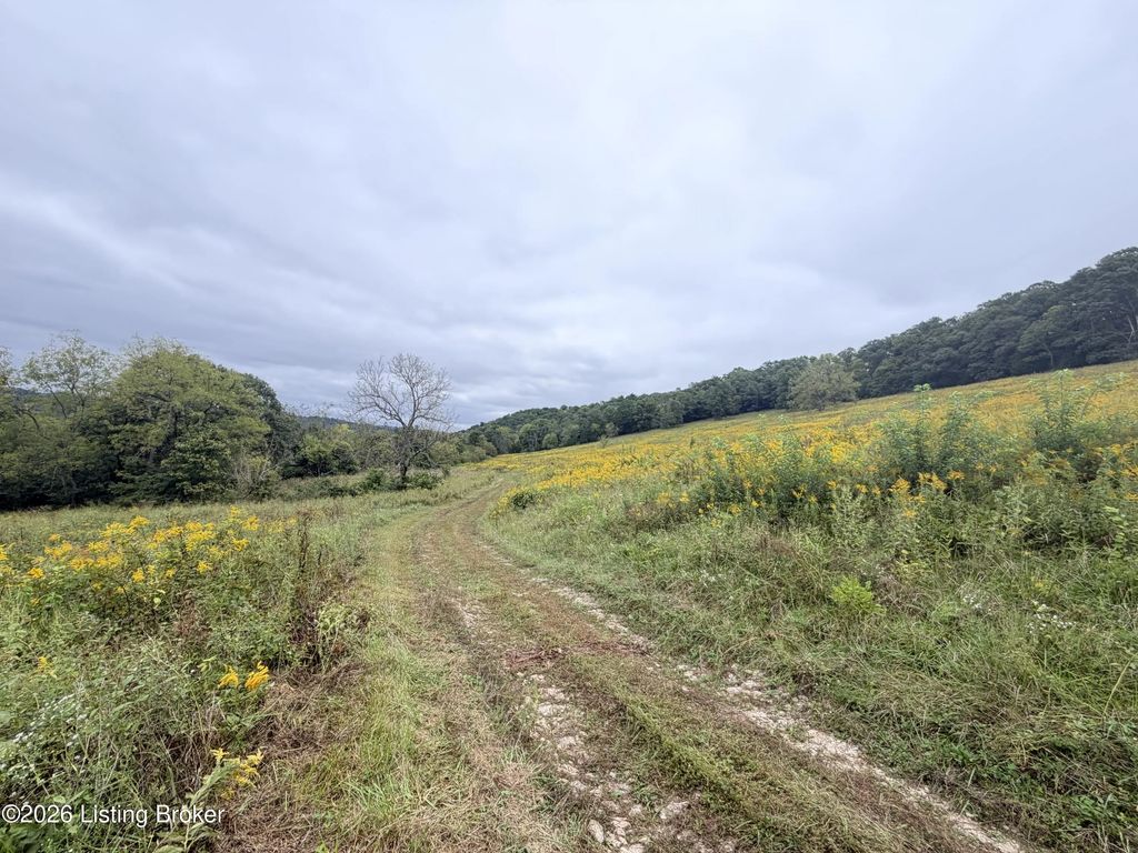 Hwy 355, Worthville
