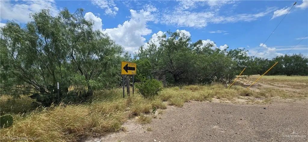 Mi Ranchita Drive, Rio Grande City