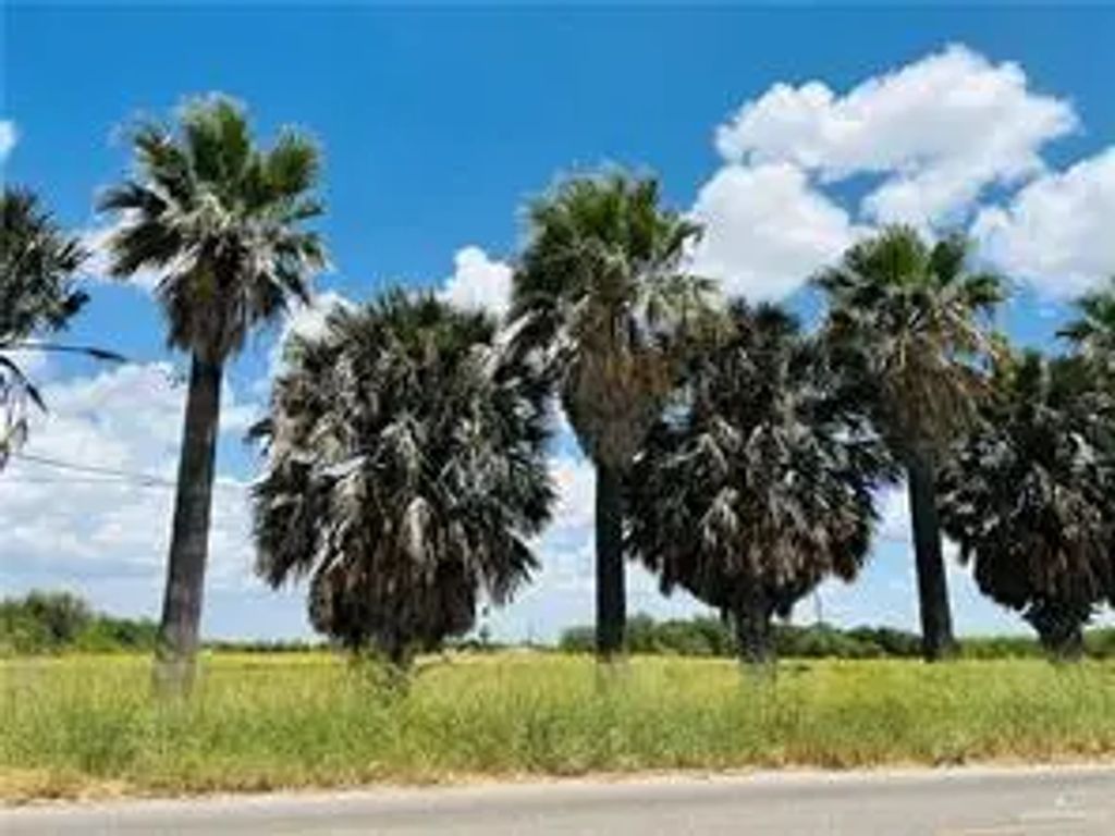 N Taylor Road, McAllen