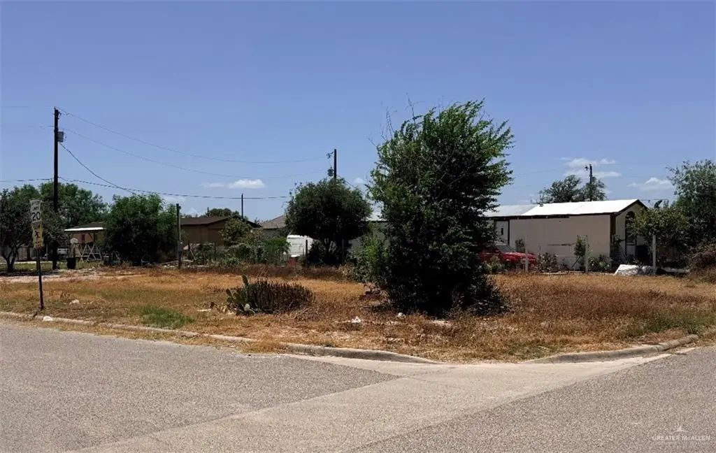 8508 Aliya Drive, Edinburg