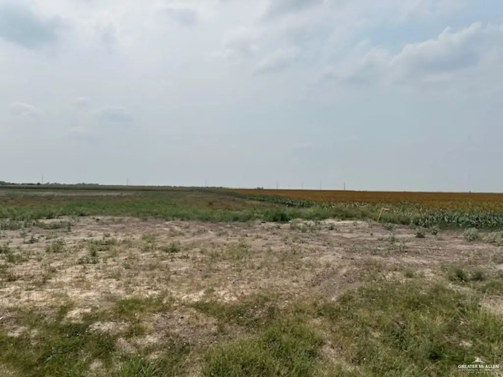 Lot 5 Briggs Cloeman Briggs Road, Harlingen