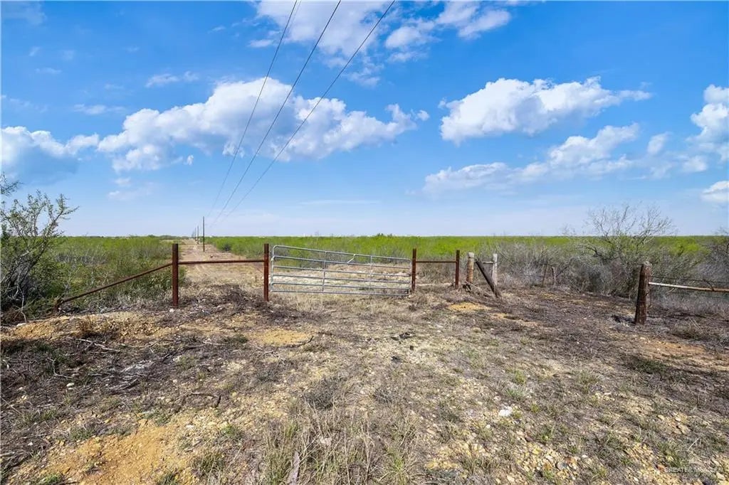 Lot 9 Los Frontones Street, Rio Grande City