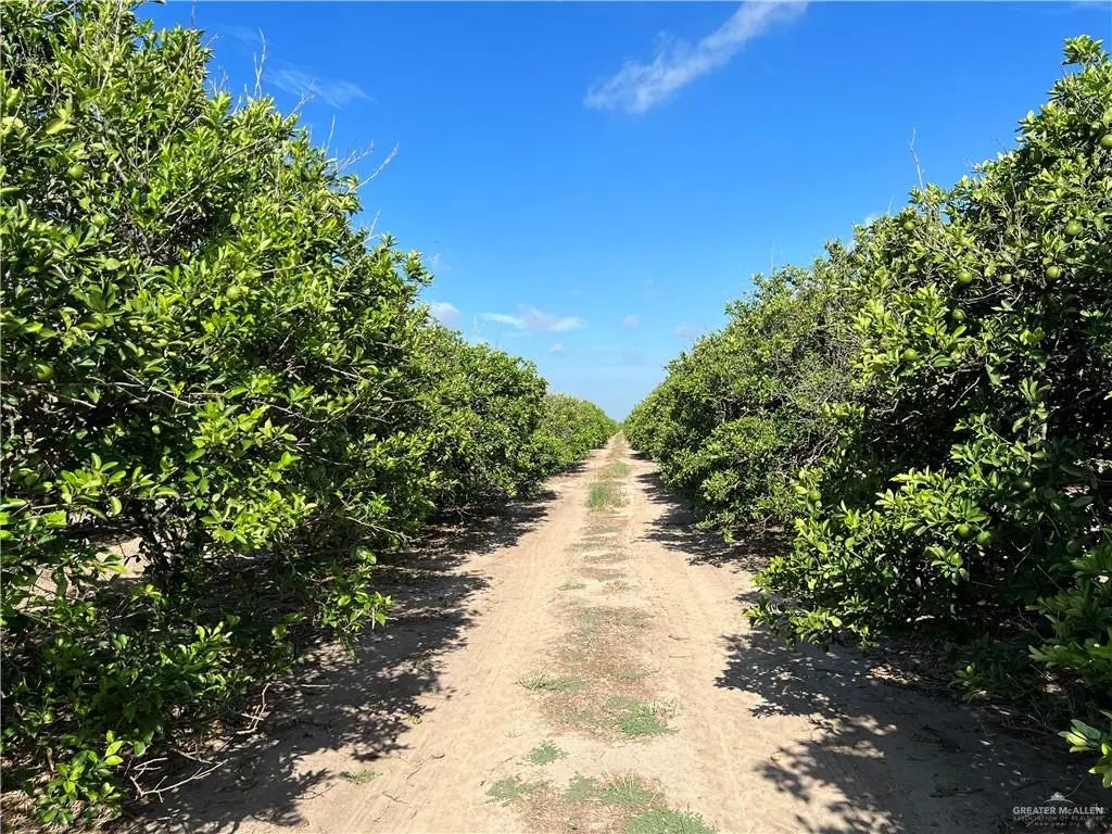 10.75 Mi N Western Road, Edinburg