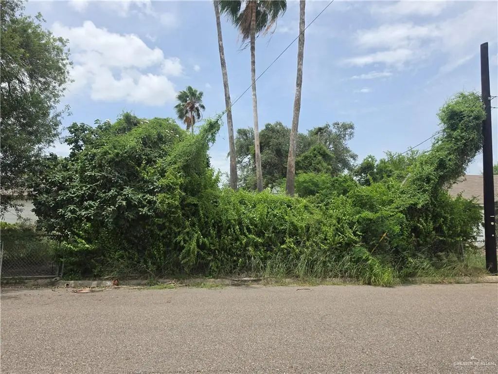 312 W Jessamine Avenue, La Feria