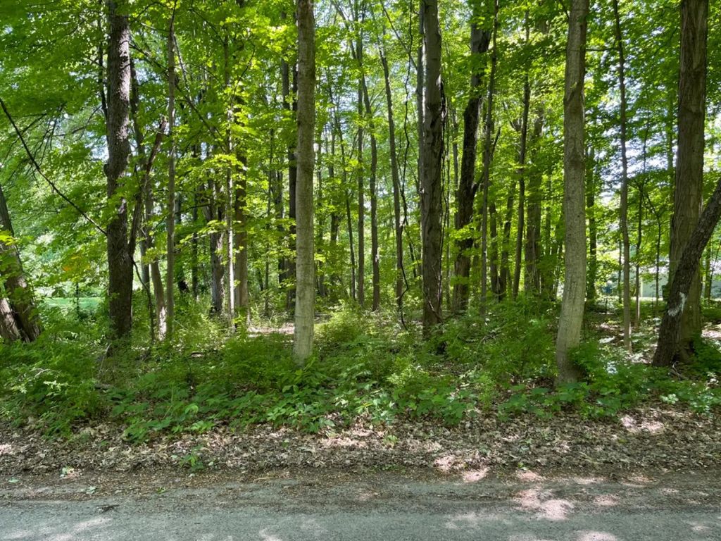 Balsam Lane, New Carlisle