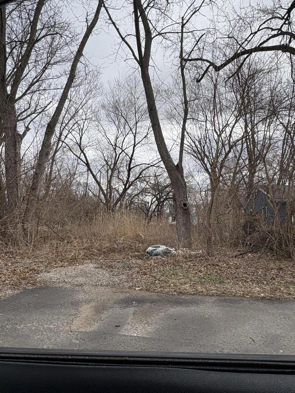 4401 Mckinley Street, Gary