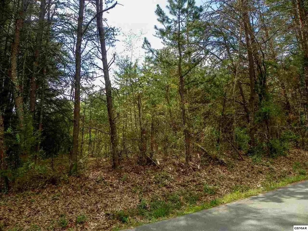 Lot 9 Rail Hill Lane, Sevierville