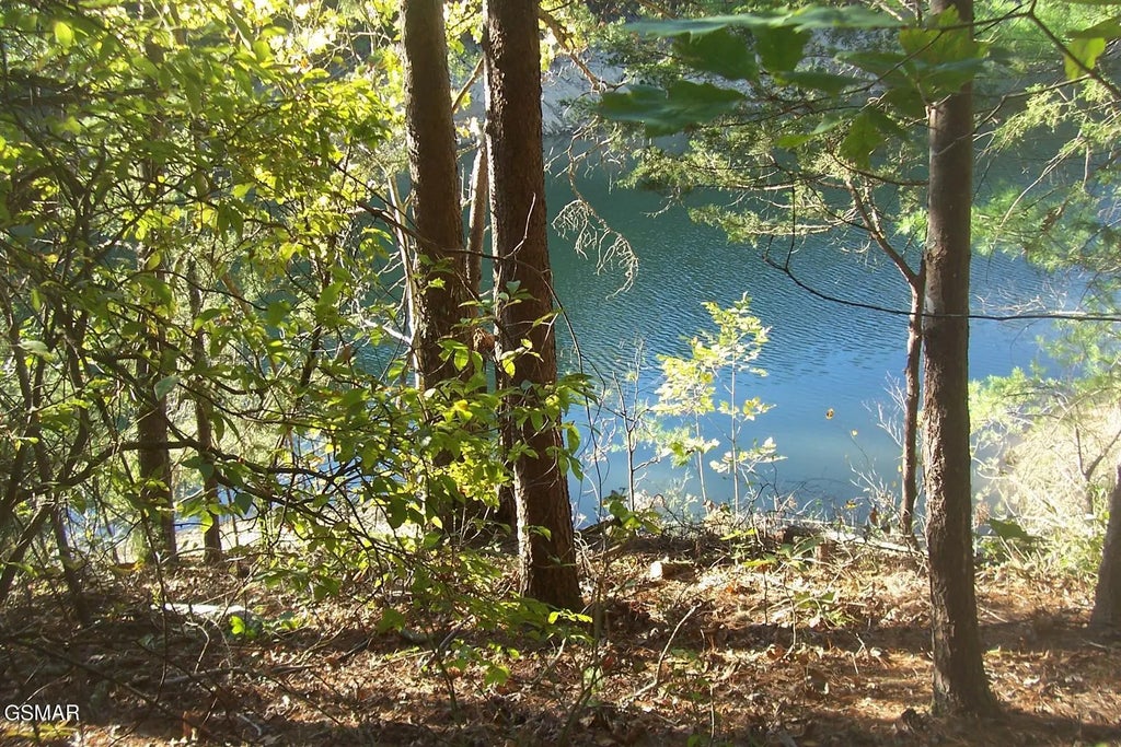 Lot 20 Scott St, Sevierville