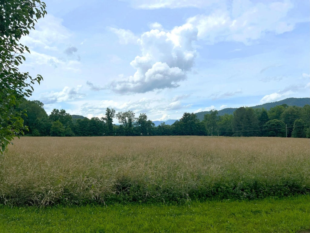 Par 130.01 S Hwy 32, Cosby