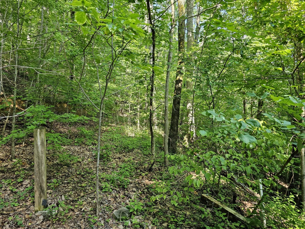 Lot 10 Kristina Way, Sevierville