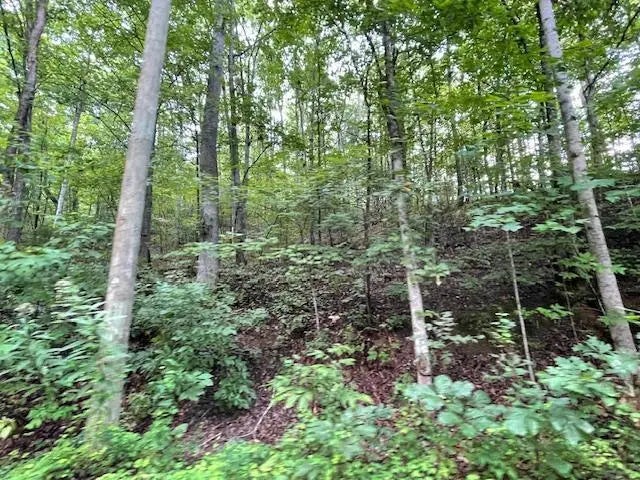 Lot 51 Yellowwood Dr, Sevierville