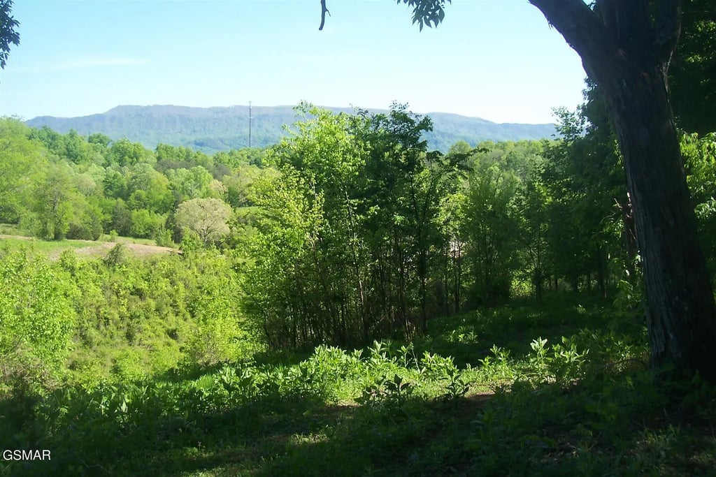 Tract 1 Chapman Highway Highway, Seymour