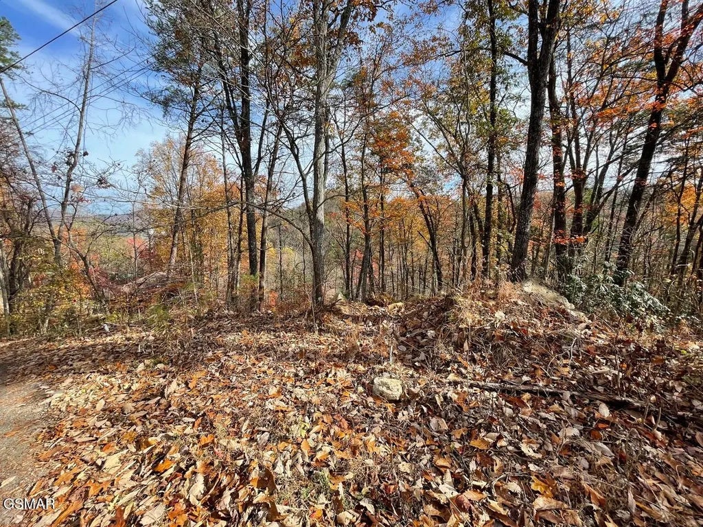Lot 33r Sugar Mtn. Way, Pigeon Forge