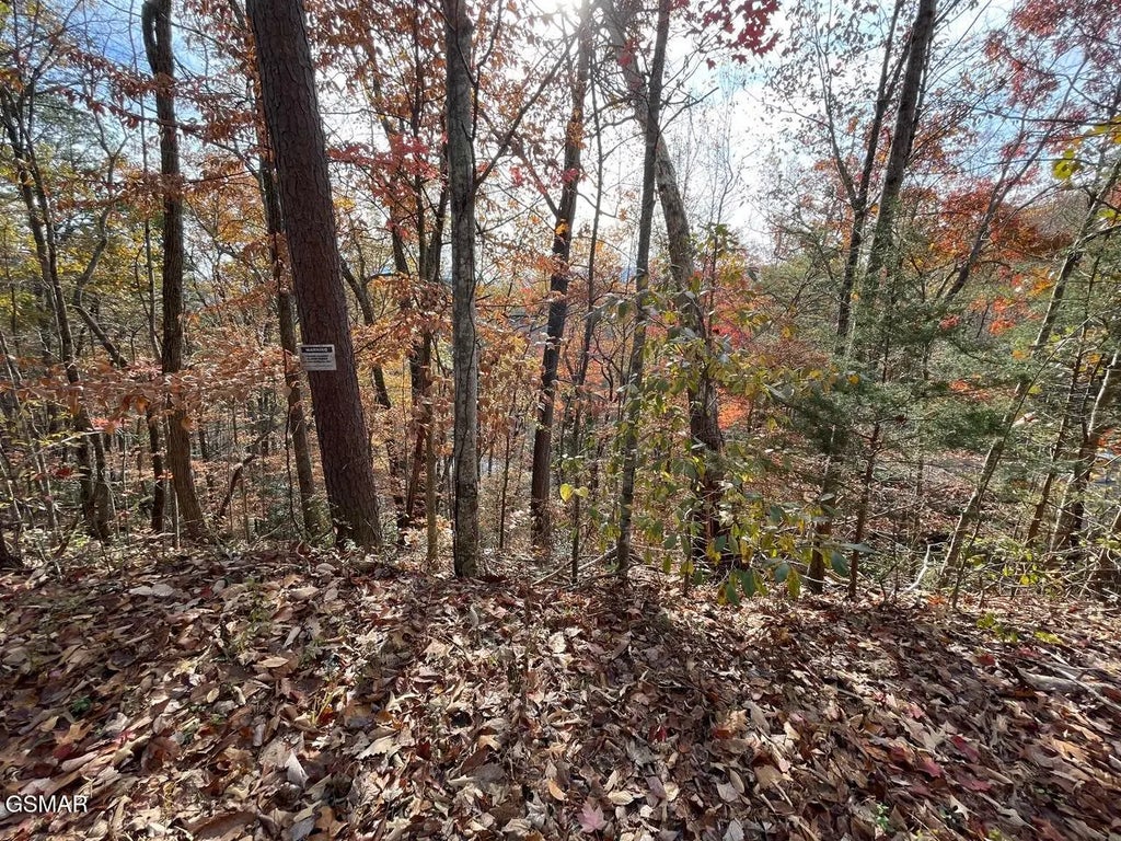 Lot 34r Sugar Mtn Way, Pigeon Forge