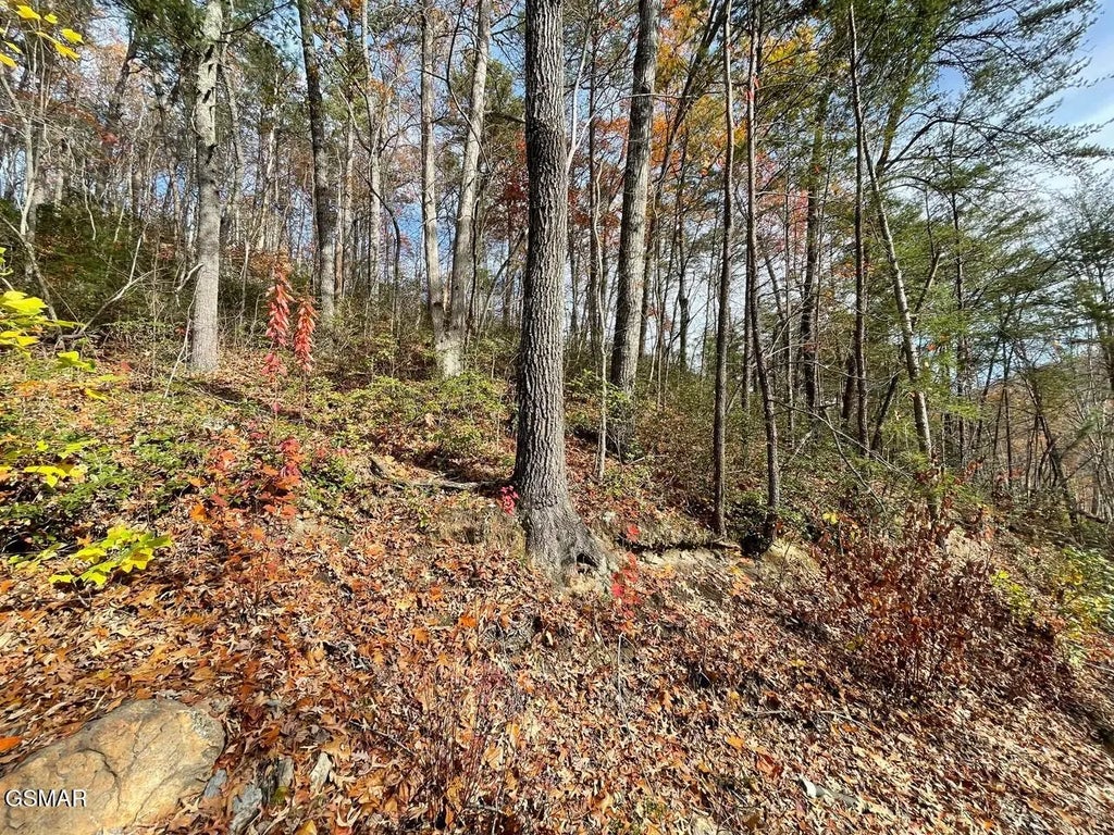 Lot 36r Sugar Mtn Way, Pigeon Forge
