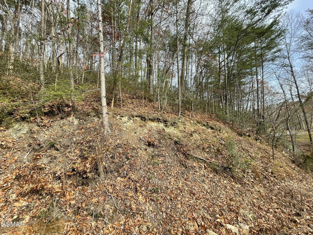 Lot 37r Sugar Mtn Way, Pigeon Forge