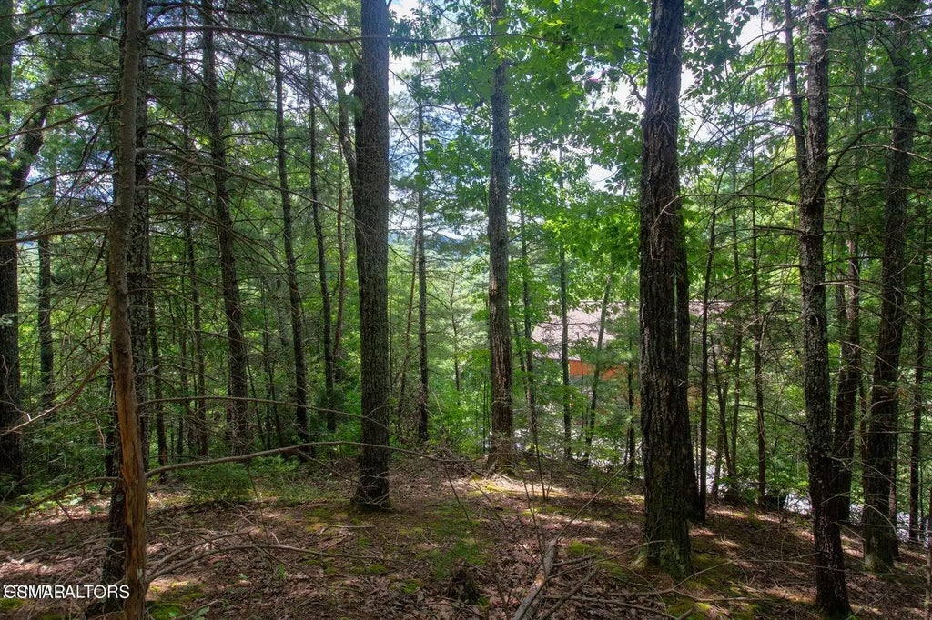 Lot 0013 High Top Loop, Sevierville