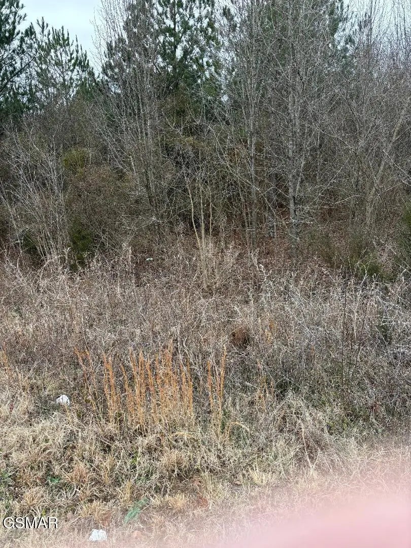 Winfield Dunn Parkway, Sevierville