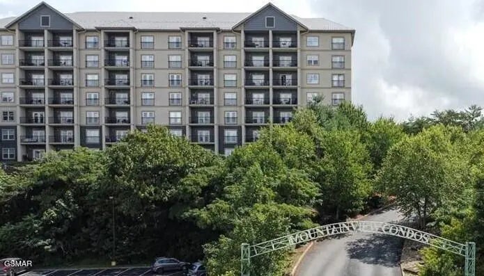 124 Plaza Drive Unit 3107, Pigeon Forge