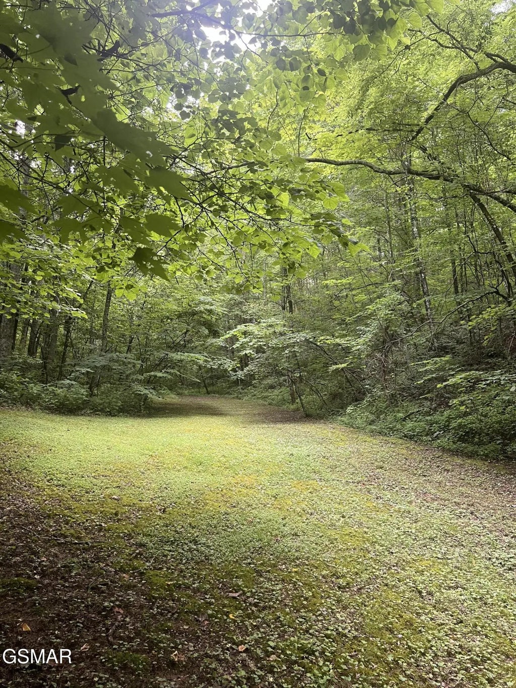 2110 Duck Pond Lane, Sevierville