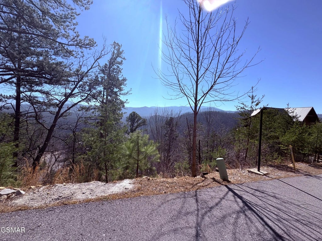 81 Parkside Rdg Way, Pigeon Forge