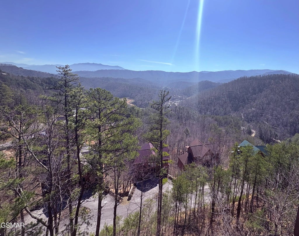 82 Parkside Rdg Way, Pigeon Forge