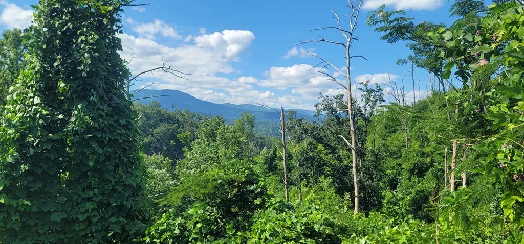 Lot 8 Kristis Place, Gatlinburg