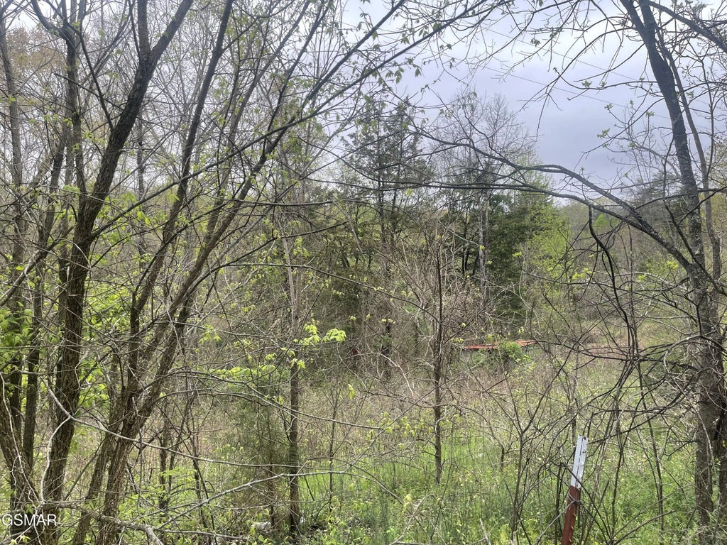 952 Stokes Valley Way, Parrottsville