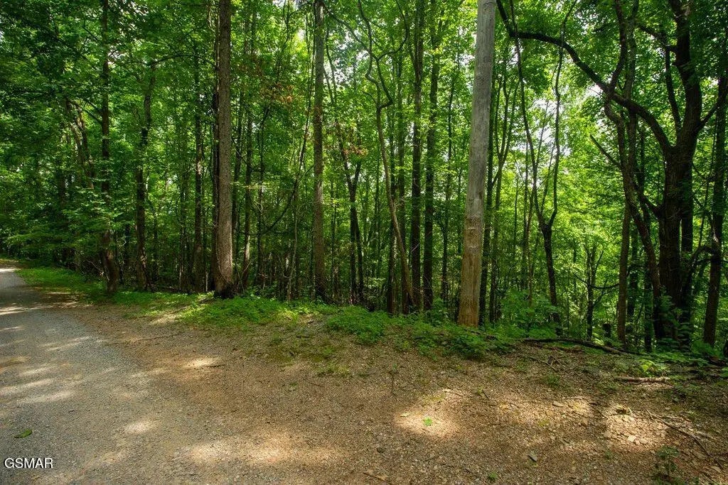Lot 13a Sugar Maple Loop Road, Sevierville