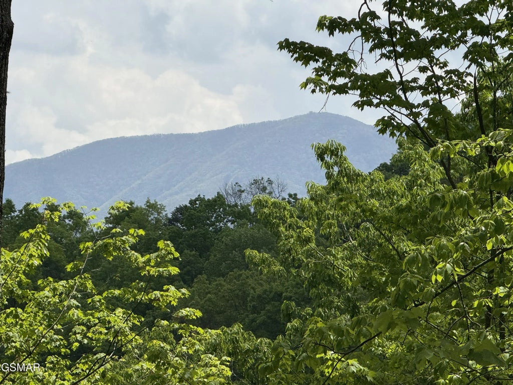 Lot 80 Whetsone Road, Sevierville
