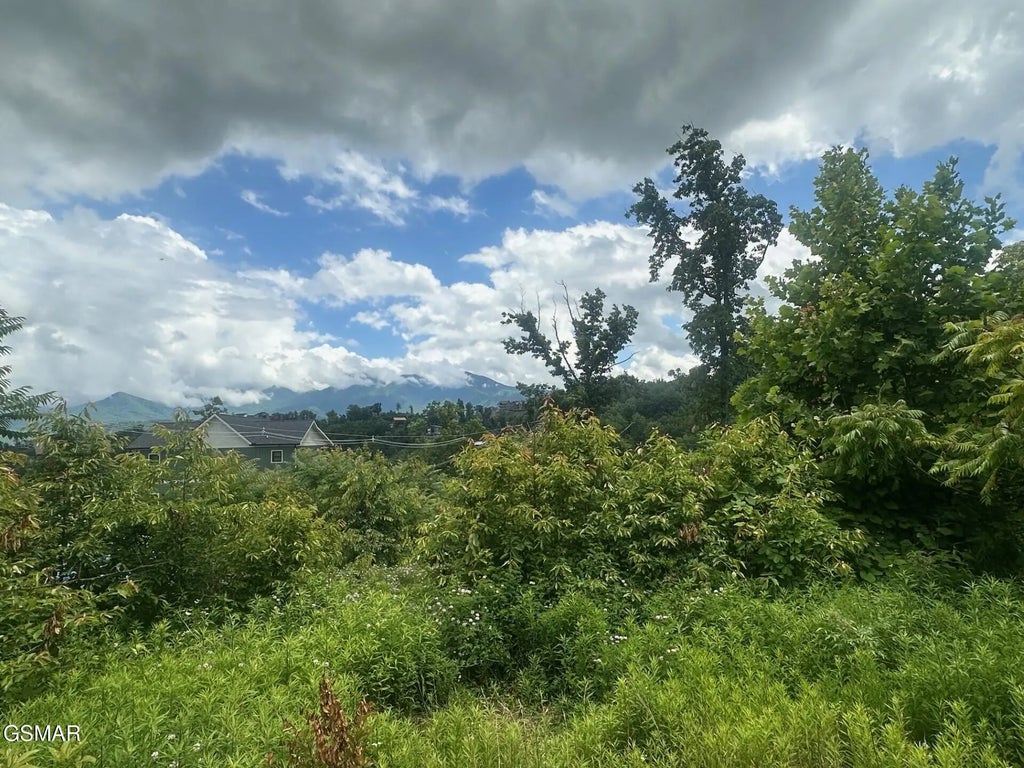 909 N Woodland Drive, Gatlinburg