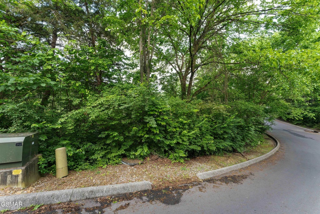 Lot 115 Alpine Mountain Way, Pigeon Forge