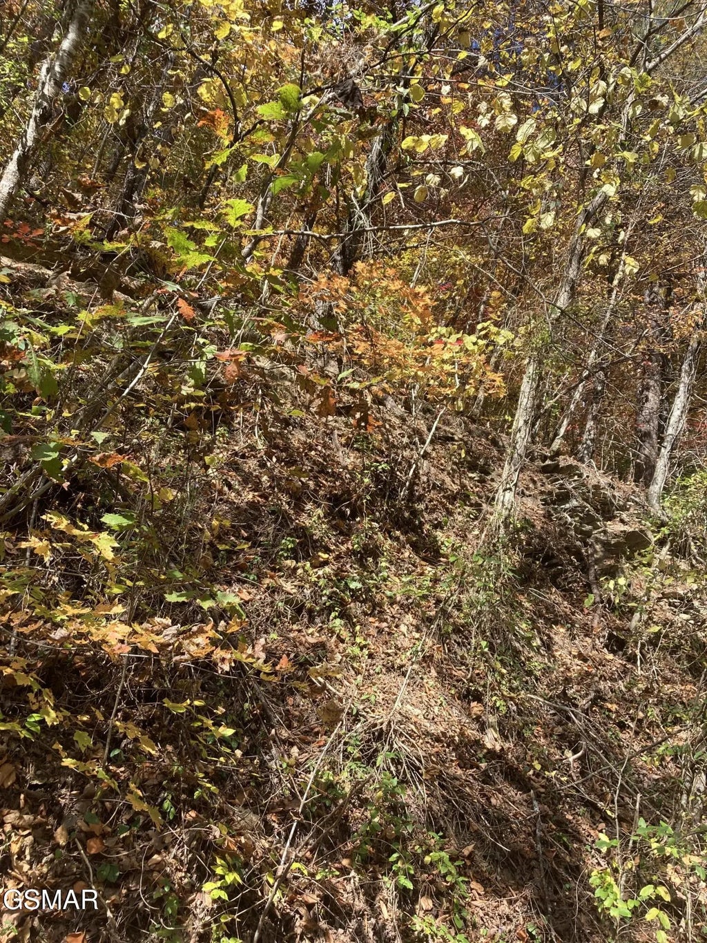 Lot 2 Meadow View Road, Sevierville