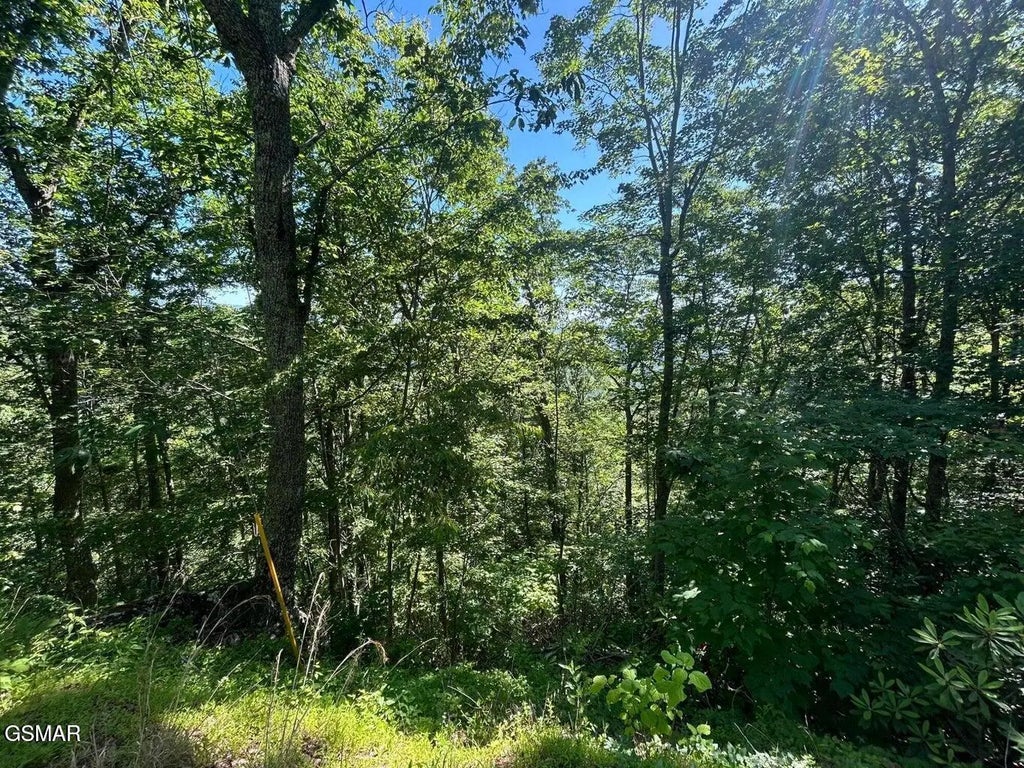 Lot 1r Overholt Trail, Sevierville
