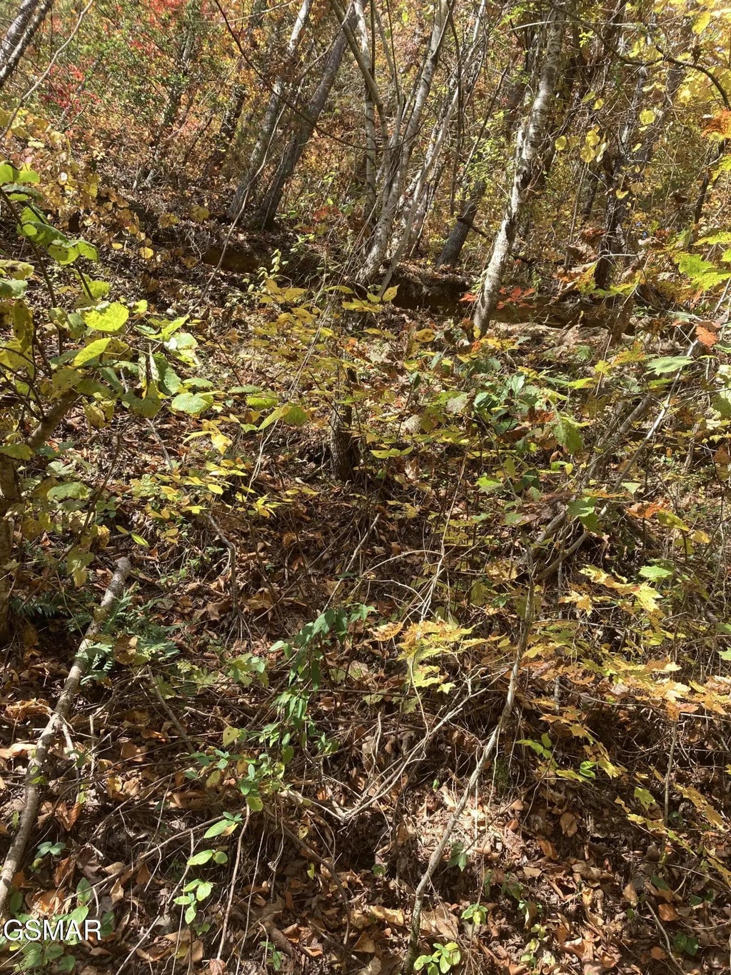 Lot 3 Sec Meadow View Road, Sevierville