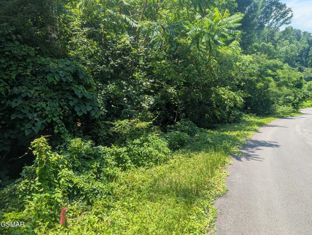 Beech Branch Road, Gatlinburg